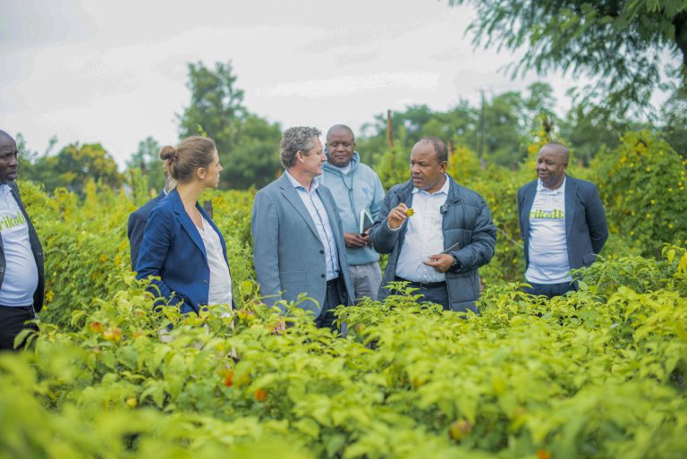 A VISIT FROM AMBASSADOR OF BELGIUM TO TANZANIA PETER HUYGHEBAERT