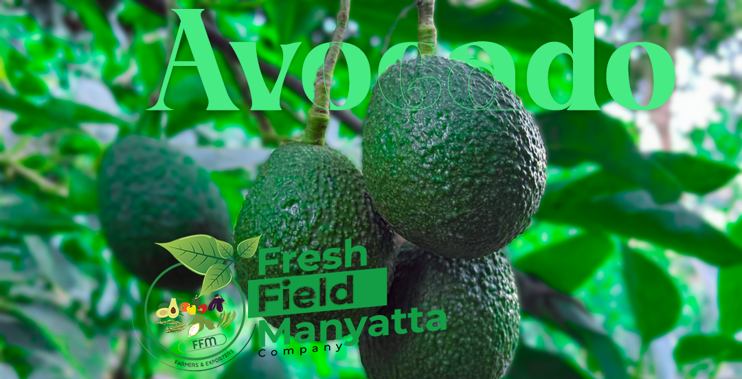 FRESH FIELKD MANYATTA COMPANY COVER PHOTO